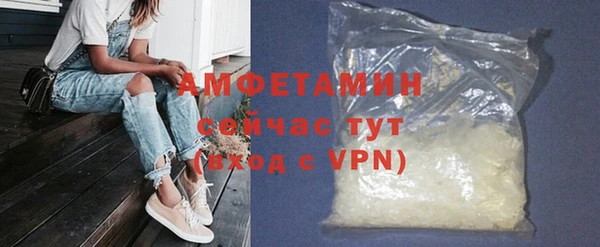 индика Инсар