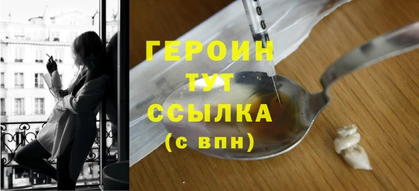 гидра Инта