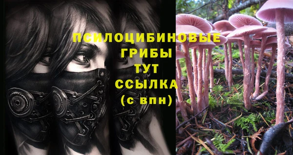 мескалин Зеленокумск