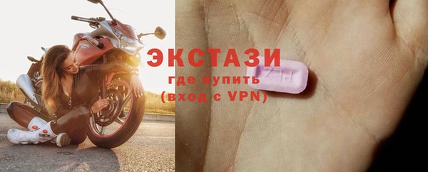 индика Инсар