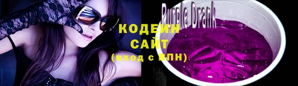 гидра Инта
