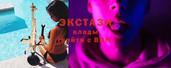 индика Инсар