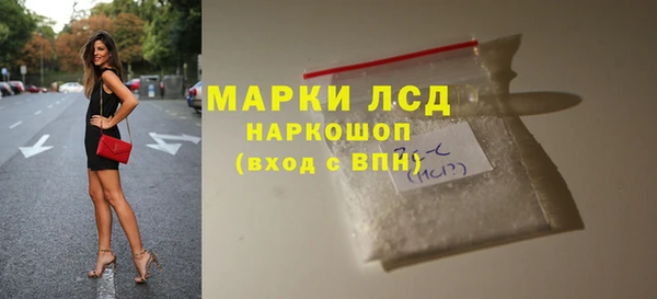 гидра Инта