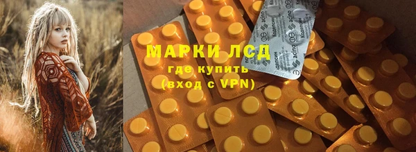 гидра Инта