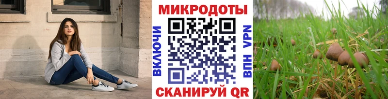 цена   Сретенск  Псилоцибиновые грибы мухоморы 
